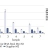 Набор для выделения суммарной ДНК из человеческого кала QIAamp Fast DNA Stool Mini Kit, Qiagen