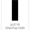 Эндонуклеаза рестрикции BcuI (SpeI), 10 е.а./мкл, Fermentas, Thermo FS