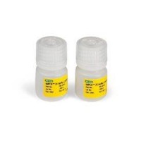 Контрольный буферный 2х раствор для работы с зондами TagMan, 2 х 4,5 мл, Bio-Rad