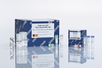Набор FastLane Cell Probe Kit 200, Qiagen
