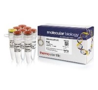 Эндонуклеаза рестрикции PstI, 10 е.а./мкл, Fermentas, Thermo FS