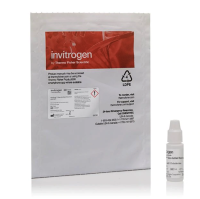 Среда для заключения SlowFade Glass Soft-set Antifade Mountant с DAPI, Thermo FS