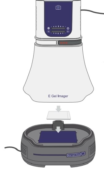 Гельдокументирующая система E-Gel Imager with E-Gel Adaptor, Thermo FS