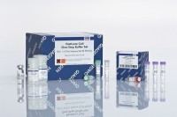 Набор FastLane Cell SYBR Green Kit 200, Qiagen