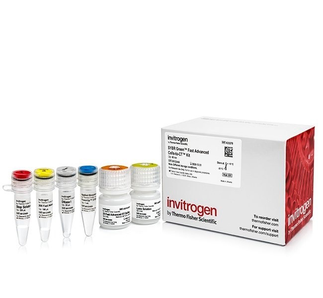 Набор для прямого анализа экспрессии генов SYBR Green Fast Advanced Cells-to-CT Kit из культивируемых клеток без предварительного выделения РНК, Thermo FS