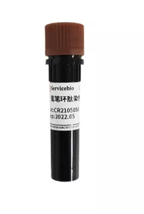 Фалоидин, меченый FITC, Servicebio, Китай