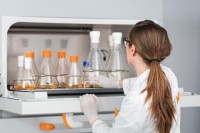 Шейкер-инкубатор, 3 мм, 25 или 50 мм, изменяемая амплитуда (12, 19, 25, 50 мм), от +4 до + 65° С, платформа 850х470 мм, 1-3 яруса, Multitron, Infors (аналог: ZCZY-9S, Zhichu (Китай))