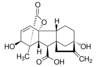 Гибберелловая кислота, 90%, CDH