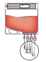 Мешки для сбора, хранения и транспортировки культуральной жидкости Labtainer Pro BPCs, 2000 мл, материал Aegis5-14, 4 порта, Thermo FS