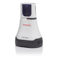 Гельдокументирующая система E-Gel Imager, 1,3 Мп, основание с УФ светом 312 нм, универсальный фильтр, Thermo FS