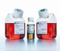 Сыворотка эмбриональная бычья (FBS), в формате One Shot, Thermo FS