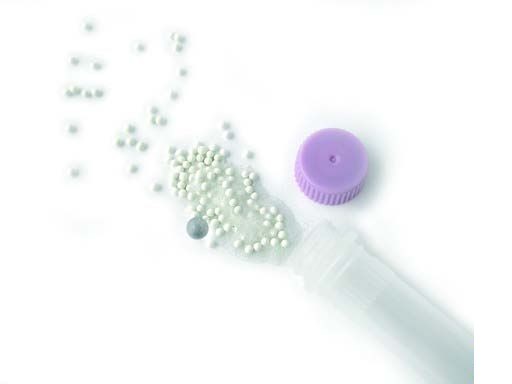Пробирки 2 мл Lysing Matrix E, шарики керамич., карбид кремния, стеклян., 100 шт/уп, MP Biomedicals