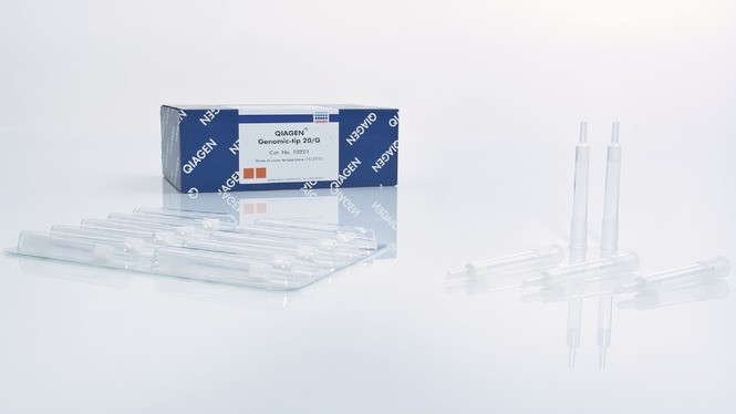 Набор колонок для выделения высокомолекулярной ДНК Qiagen Genomic-tip 20/G, Qiagen
