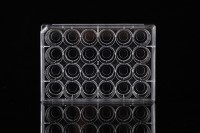 Планшеты культуральные 24 лун, со стеклянной вставкой 10 мм, Nest, Китай