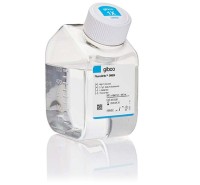 Среда FluoroBrite DMEM, высокое содержание глюкозы, без пирувата, без фенолового красного, без ХЕПЕС, Thermo FS