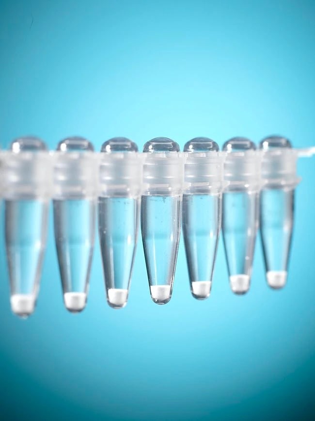 Тест-набор для выделения ДНК из чистой воды, 24 реакций, Legionella Extraction Kit I, 24 реакций, набор/уп, Thermo FS