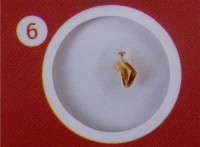 Набор микропрепаратов Levenhuk LabZZ C12, существа