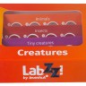 Набор микропрепаратов Levenhuk LabZZ C12, существа