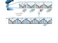 Система переноса клеток CloneSelect Single-Cell Printer, Molecular Devices