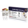 Эндонуклеаза рестрикции Bme1390I (ScrFI), 10 е.а./мкл, Fermentas, Thermo FS