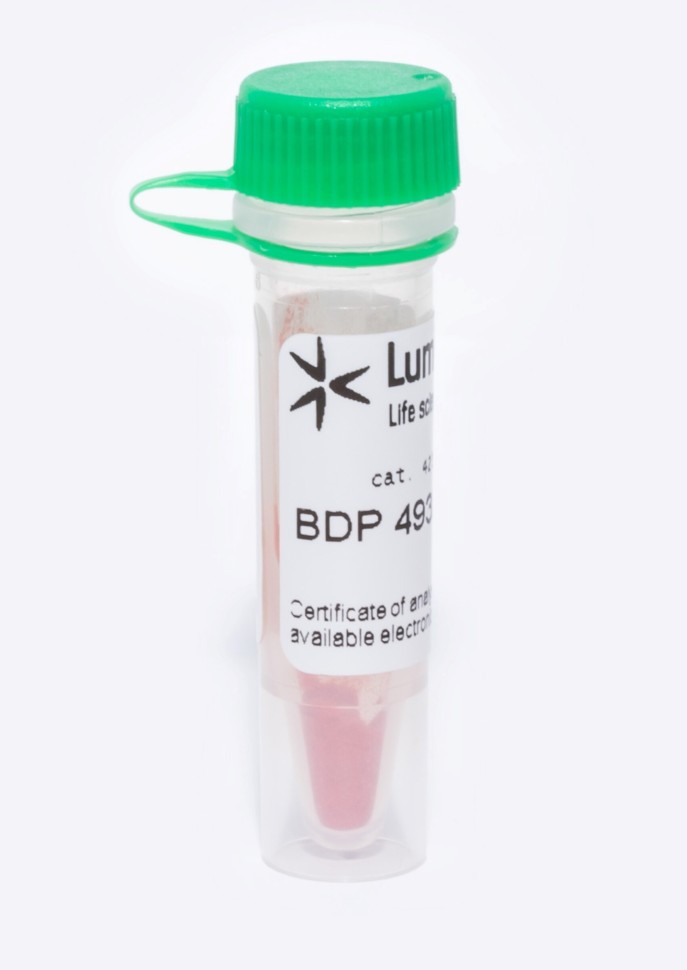 Краситель для липидов и гидрофобных сред BDP 493/503, Lumiprobe