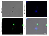 Набор nadAROSE Kit, для инкапсуляции клеток, Dolomite Microfluidics