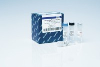 Набор QuantiTect Virus Kit, Qiagen