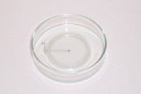 Электрод для чашки Петри, квадратный с лункой, платиновый, 2×2 мм, нижний, Nepa Gene