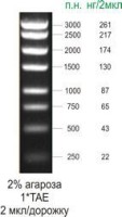 Маркер длин ДНК, 3000, 8 фрагментов от 250 до 3000 п.н, готовый к применению, 0,1 мг/мл, Диаэм
