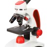 Микроскоп Discovery Pico Terra с книгой