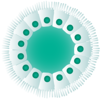 Набор nadia3D Kit, для инкапсуляции клеток, Dolomite Microfluidics