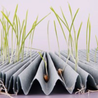 Гофрированные полосы бумаги Hahnemühle 3014, белые, 110 мм x 2 м, 50 двойных складок, высота 20 мм, для испытания семян на всхожесть, 306 шт/упак