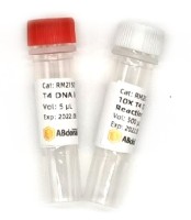 ДНК-лигаза T4, 400 е.а./мкл, ABclonal