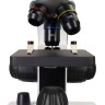 Микроскоп цифровой Discovery Pico Polar с книгой