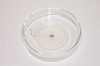 Электрод для чашки Петри, квадратный с лункой, платиновый, 5×5 мм, нижний, Nepa Gene