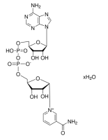 НАД (β-никотинамид аденин динуклеотид (NAD)), более 98%, Servicebio, Китай