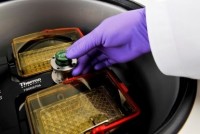 Ротор-бакет M10 для 2х2 микропланшет или 2х1 глубоколуночных планшетов, 4 400 об/мин, 2 576 g, Thermo FS