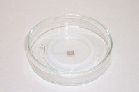 Электрод для чашки Петри, квадратный с лункой, платиновый, 7×7 мм, нижний, Nepa Gene