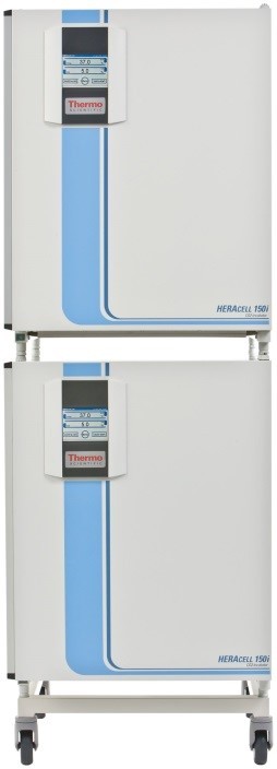 CO2-инкубатор, 240 л, прямой нагрев, ТК-датчик, влажная стерилизация, камера из нержавеющей стали, Heracell 240i, Thermo FS