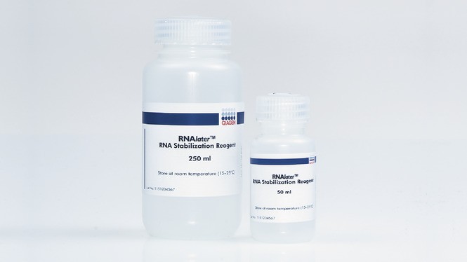 Реагент, стабилизирующий РНК в образцах животных тканей RNAlater, Qiagen