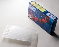 Пленка для ПЦР планшетов, термостойкая, без подложки, Sovtech