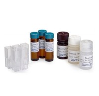 Реагенты Hach 2762700 на Атразин в воде (C8H14N5Cl), до 20 шт.