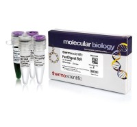 Эндонуклеаза рестрикции BplI Fast Digest для ускоренного гидролиза ДНК, Fermentas, Thermo FS