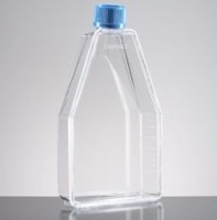 Флаконы культуральные 150 см², 600 мл, скош. горло, сплошная крышка, 40 шт./кор, Corning (BioCoat)