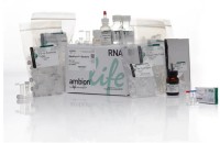 Набор RiboPure RNA Purification Kit, bacteria, Thermo FS