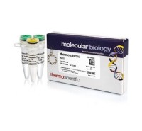 Эндонуклеаза рестрикции SfiI, 10 е.а./мкл, Fermentas, Thermo FS