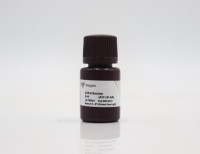 Набор для оценки клеточной пролиферации и токсичности CCK-8 Cell Counting Kit A311, Vazyme, Китай