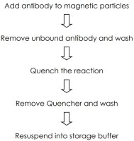 Набор для конъюгации антител с магнитными частицами Magnetic Conjugation Kit, Abcam