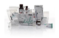 Набор RiboPure RNA Purification Kit, yeast, Thermo FS