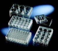 Планшеты культуральные 24-лун., поверхность Upcell, с крышкой, инд. уп, 6 шт./кор., Thermo FS